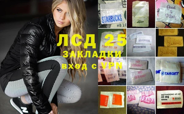 спиды Магас